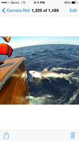 Think your tough enough?