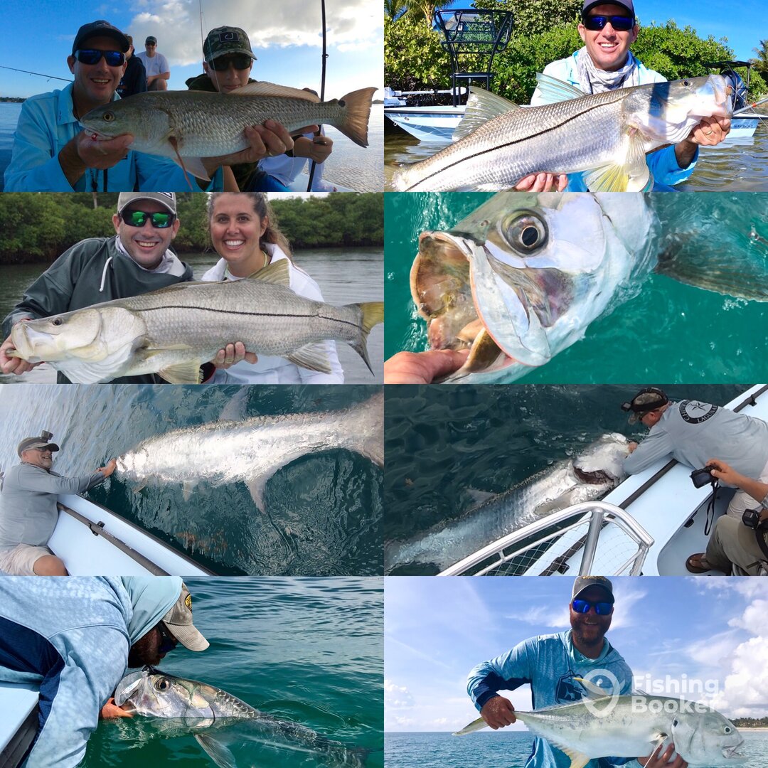 Jupiter Report Photo 0