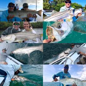 Snook, Tarpon and Redfish