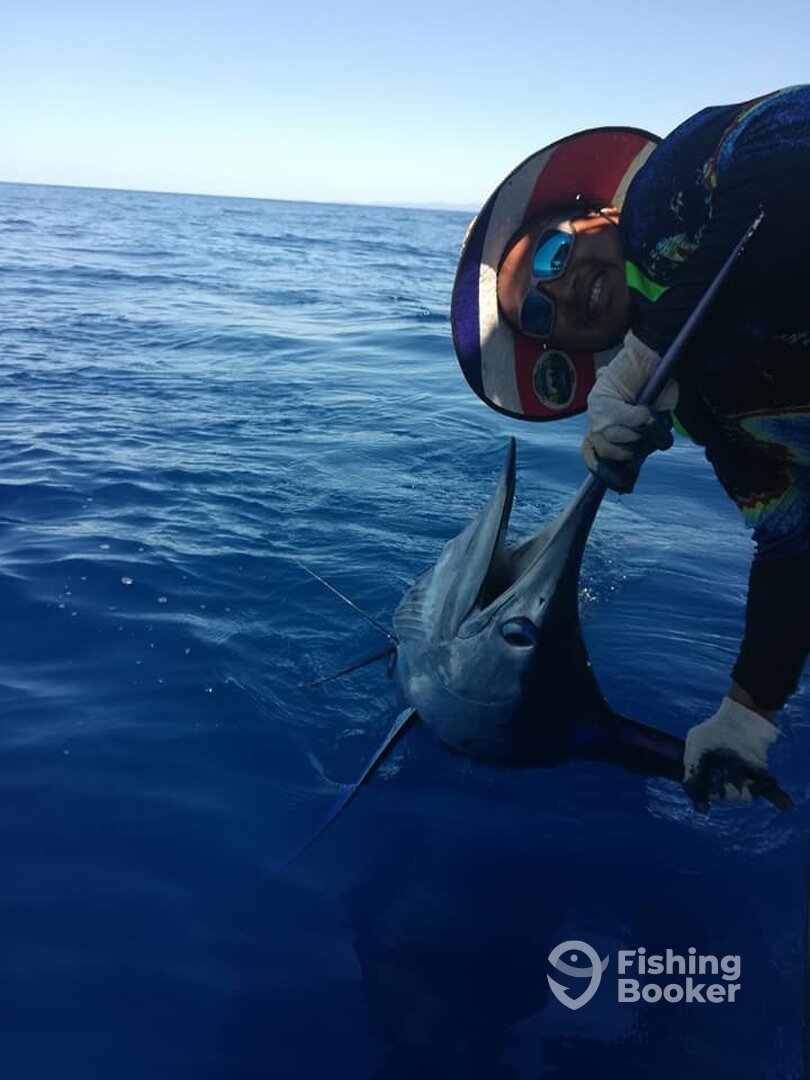 Samara Report Photo 0