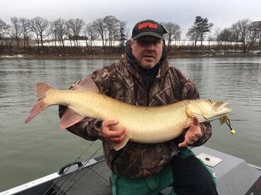 Harding Report Photo 2