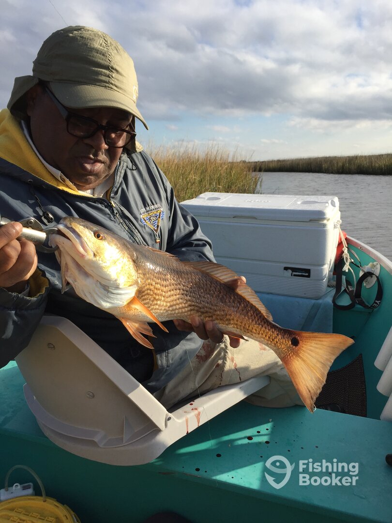 Jacksonville Report Photo 0