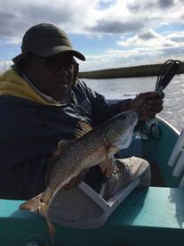 Jacksonville Report Photo 1