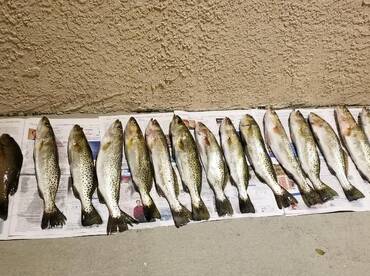 Tough weather but a great bite