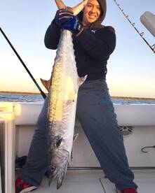 King mackerel 