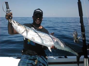 Kings are thick off Gulf beaches