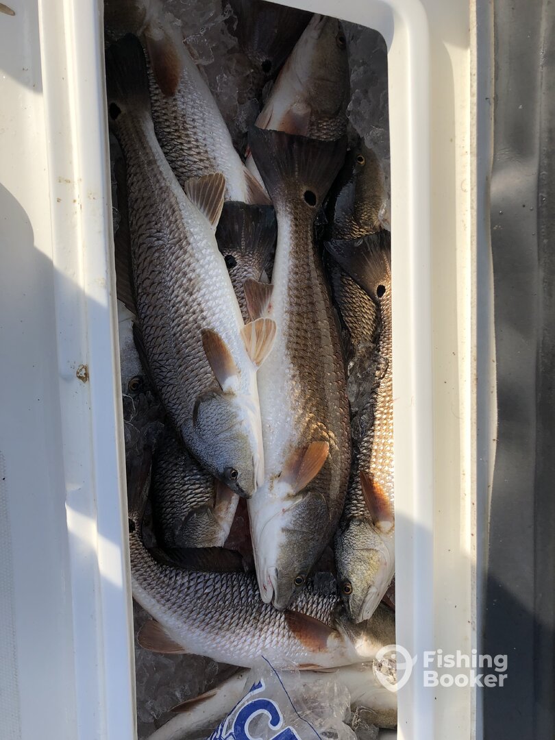 January scout trip for redfish.