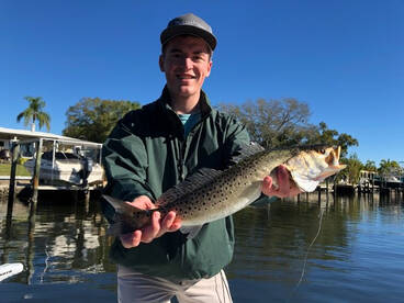 Bay Pines Verslag Foto 1