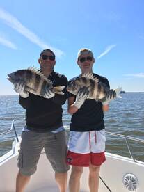 Fairhope Report Photo 1