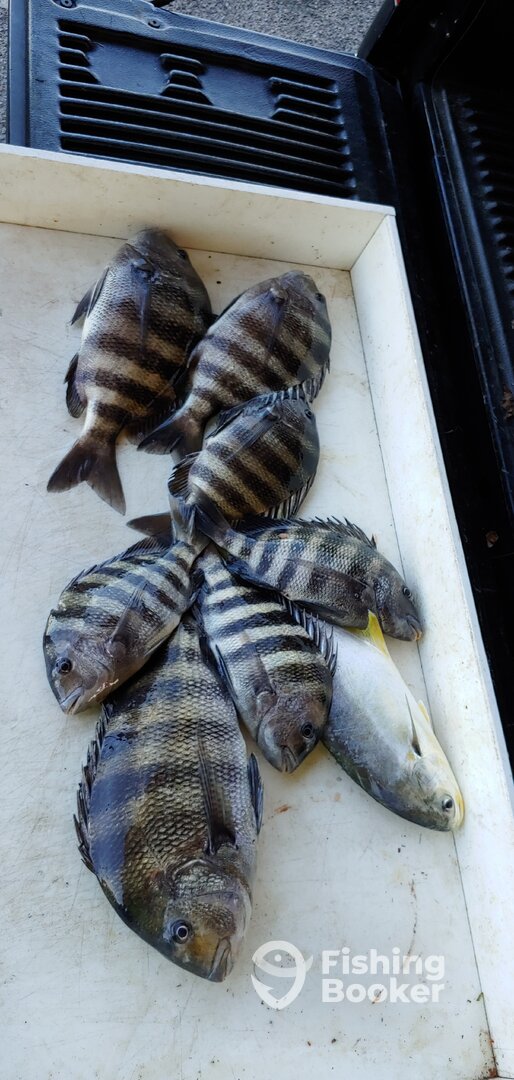 Port Orange Report Photo 0