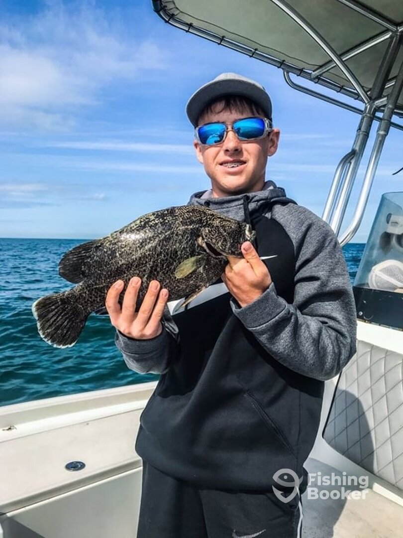 Sarasota Report Photo 0