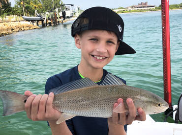 Sarasota Report Photo 2