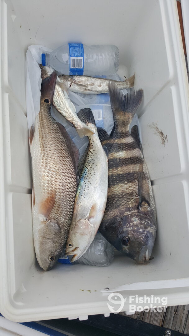 Marco Island Report Photo 0