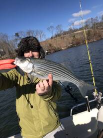 Cumming Report Photo 1