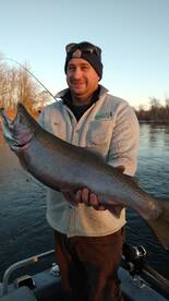 Winter steelhead at it's best right now