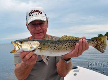 Cape Canaveral Report Photo 2