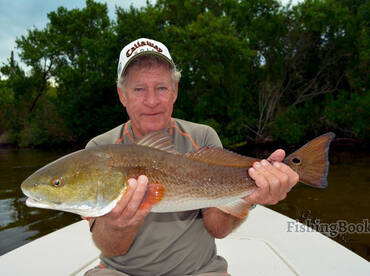 Cape Canaveral Report Photo 1