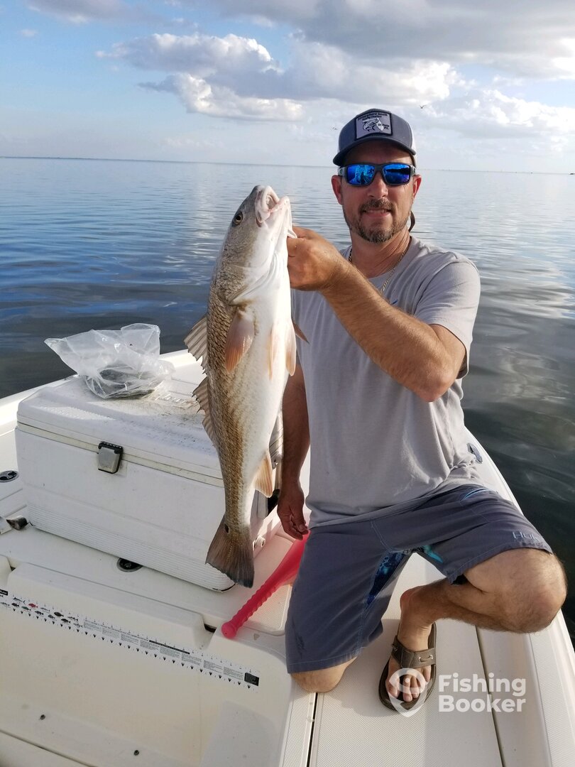 St. Petersburg Report Photo 0