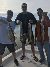 St. Petersburg Report Photo 1