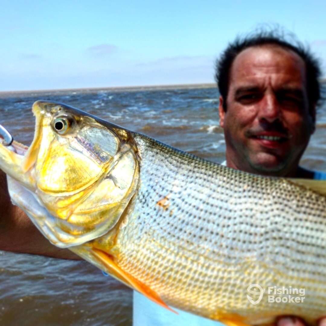 Tigre Report Photo 0