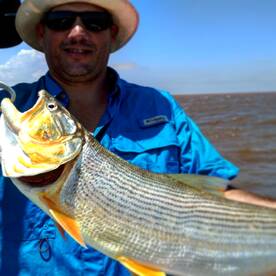 Tigre Report Photo 2