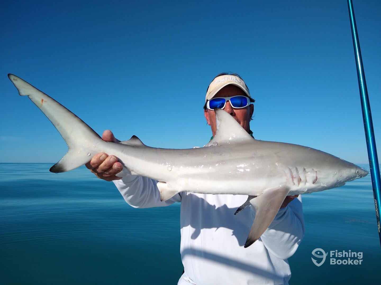 Yankeetown Report Photo 0