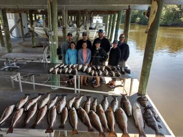 St. Bernard Report Photo 2