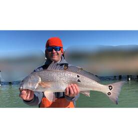 Sarasota Report Photo 2