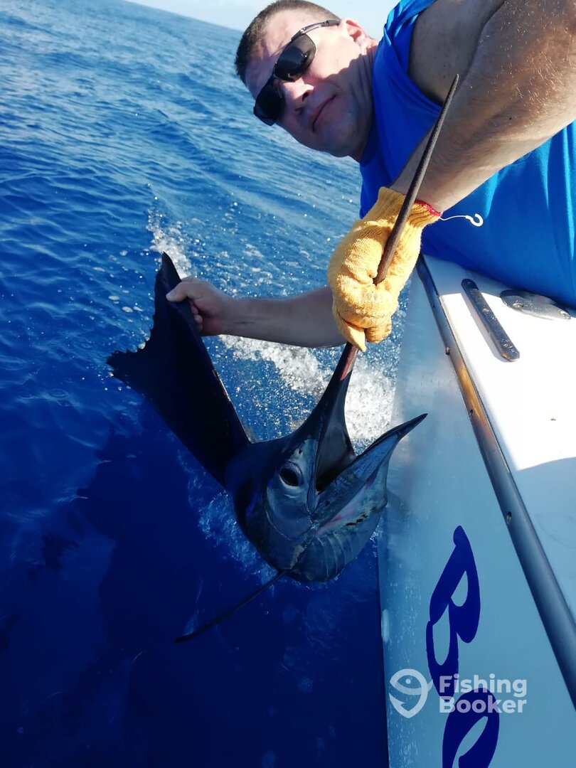 Quepos Report Photo 0