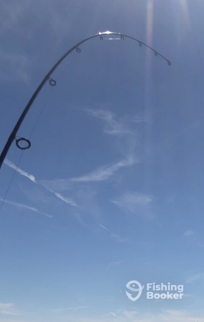 Mount Pleasant Report Photo 0