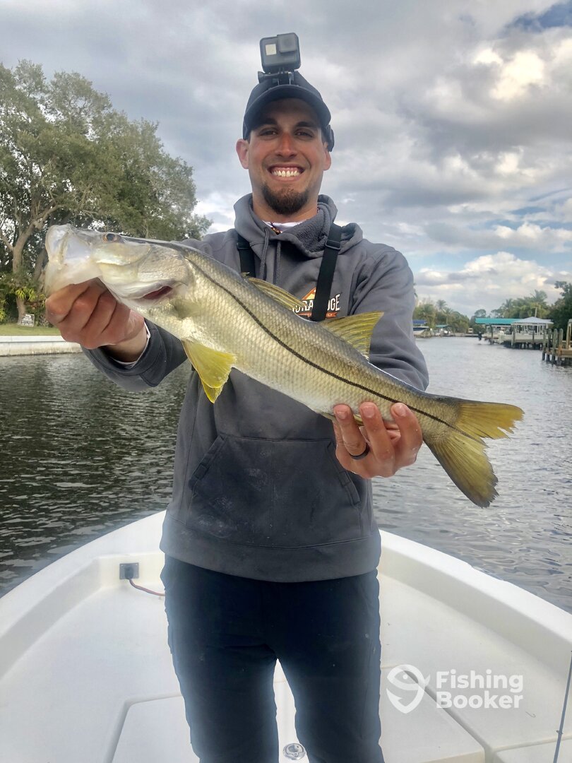 Punta Gorda Report Photo 0