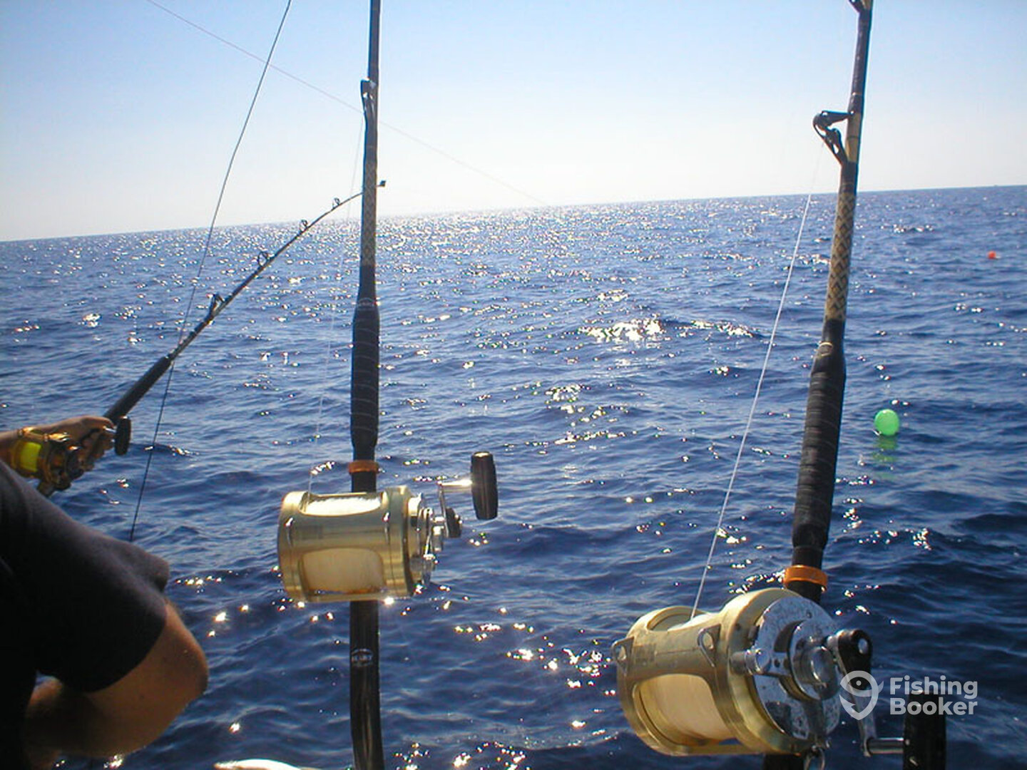 Quepos Report Photo 0