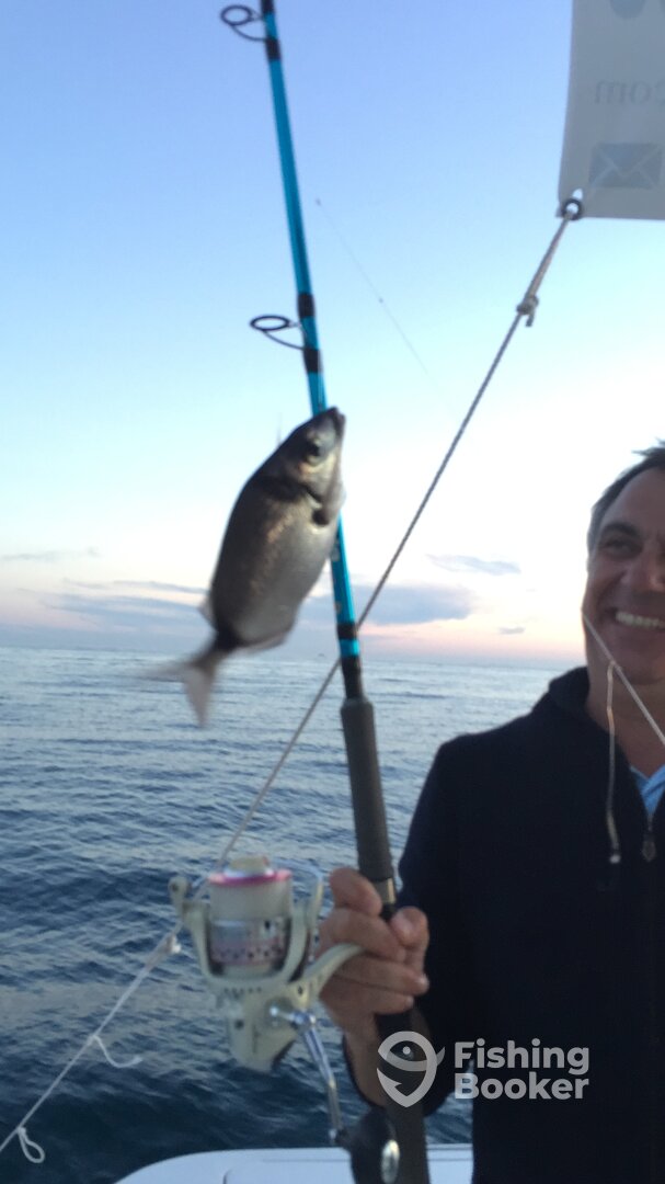 Marbella Report Photo 0