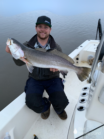 THE BIG TROUT ARE BITING!!