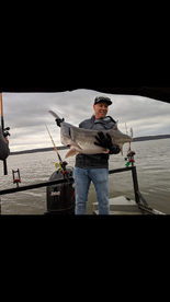 Wagoner Report Photo 2