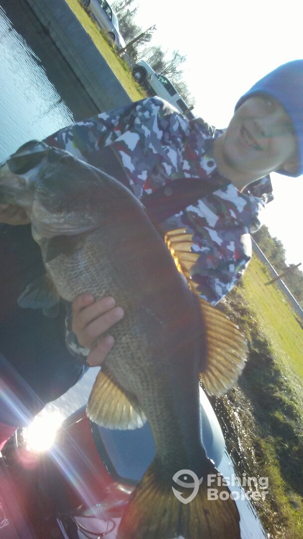 Ocoee Report Photo 0