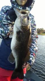 Ocoee Report Photo 1