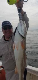 Jacksonville Report Photo 2