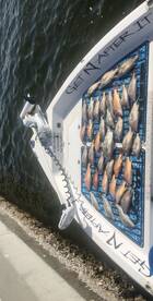 Sarasota Report Photo 1