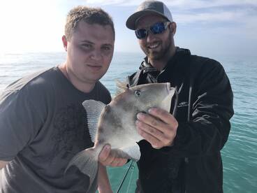 Sarasota Report Photo 2