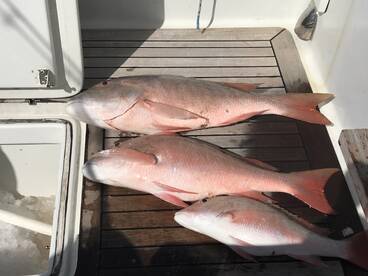 Marathon Report Photo 2