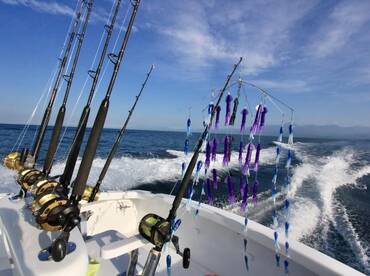 Quepos Report Photo 2