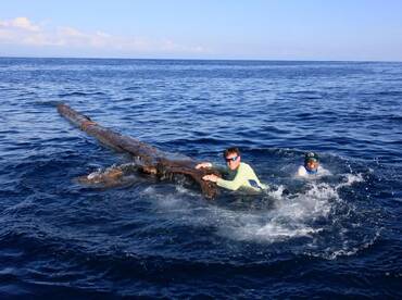 Quepos Report Photo 2