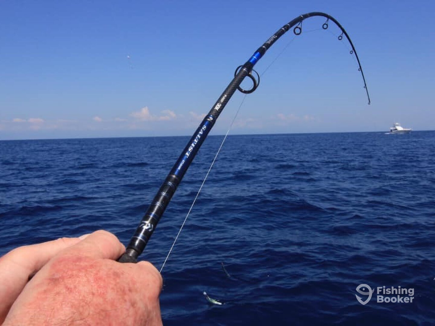 Quepos Report Photo 0