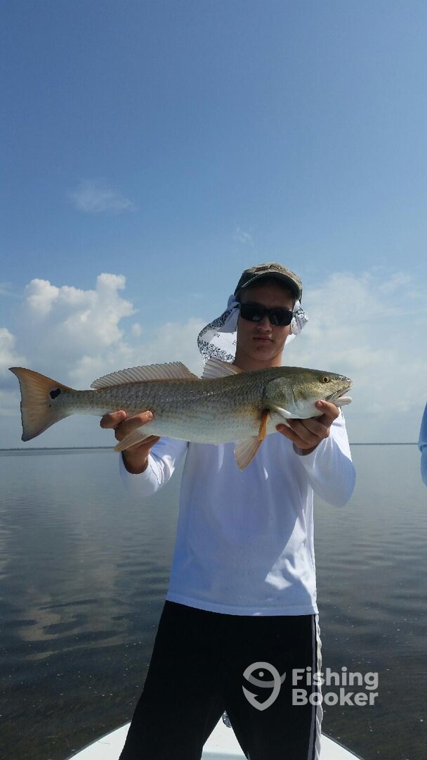 REDFISH 