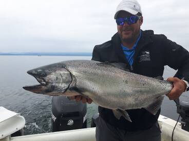 Just a few Slabs from 2018