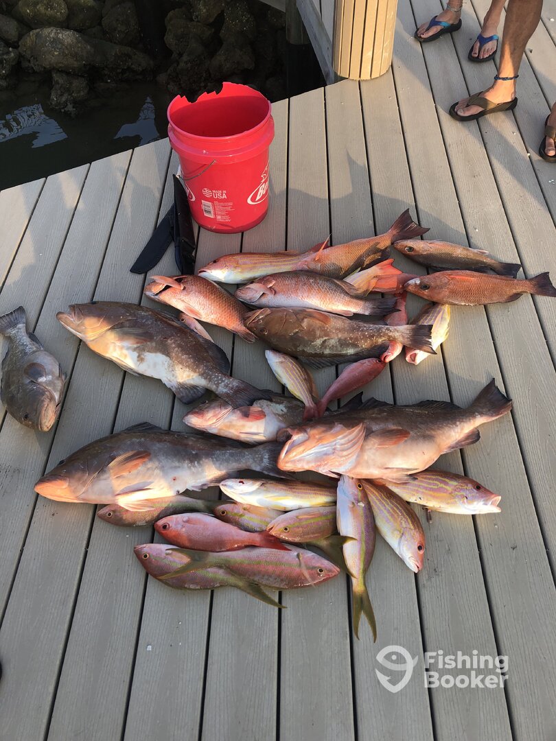 Marco Island Report Photo 0