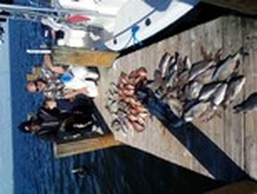 Snapper, snapper, snapper!