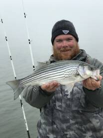 Cumming Report Photo 1