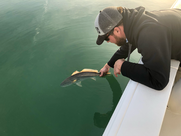 Clear water and large schools of redfish